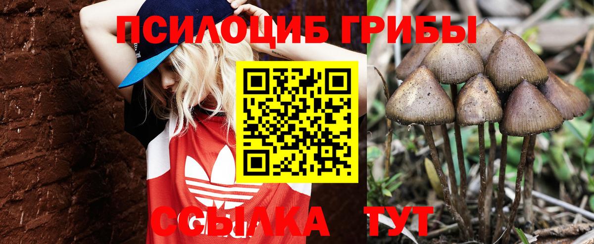 Галлюциногенные грибы MAGIC MUSHROOMS  Вход с VPN  Саратов 