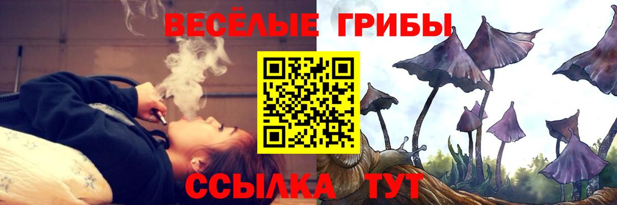 Псилоцибиновые грибы прущие грибы Саратов